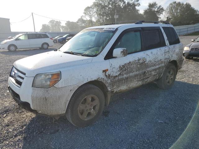 HONDA PILOT EXL 2007 with VIN 5FNYF18697B010232 - Photo from auction