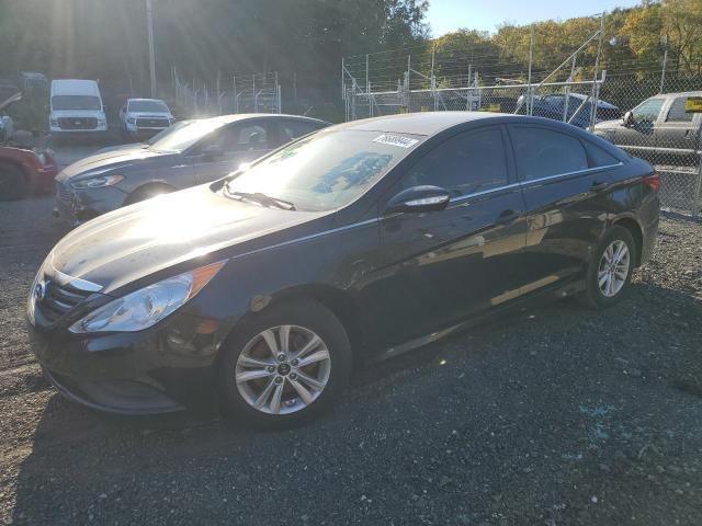 HYUNDAI SONATA GLS 2014 with VIN 5NPEB4AC8EH844233 - Photo from auction