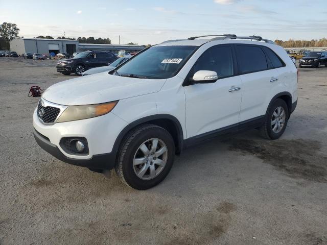 KIA SORENTO BA 2011 with VIN 5XYKT4A14BG175783 - Photo from auction