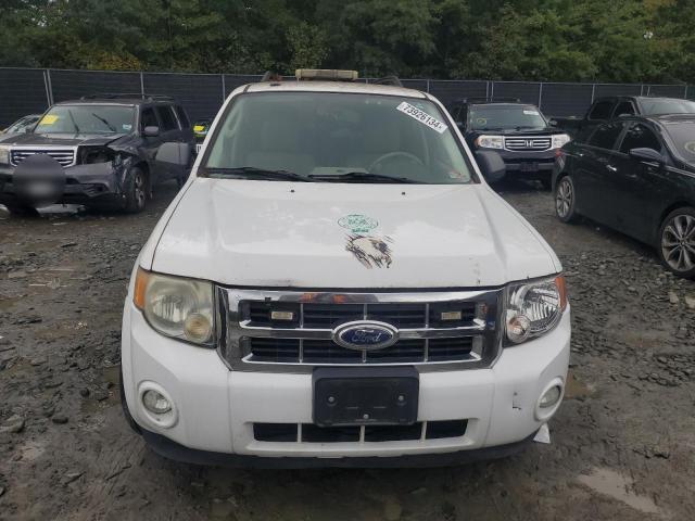 Photo 5 from auction – 2010 FORD ESCAPE XLT with VIN 1FMCU9DG4AKB50532