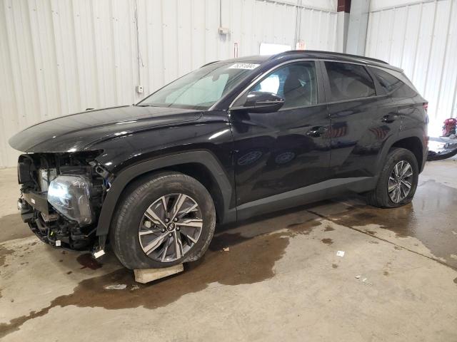 HYUNDAI TUCSON BLU 2023 with VIN KM8JBCA13PU093408 - Photo from auction