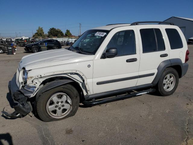 JEEP LIBERTY SP 2007 with VIN 1J4GL48K37W633032 - Photo from auction