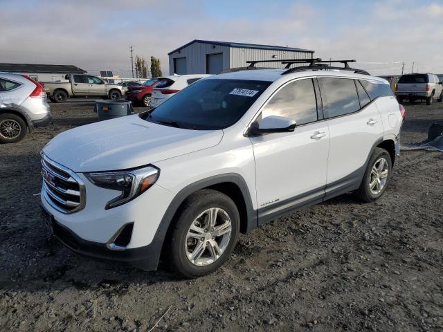 GMC TERRAIN SL 2019 with VIN 3GKALMEV3KL105181 - Photo from auction
