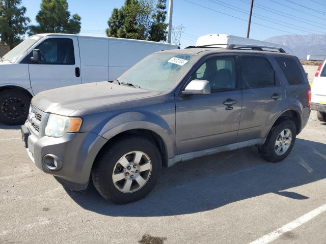 FORD ESCAPE 2010 with VIN 1FMCU0E7XAKC07990 - Photo from auction