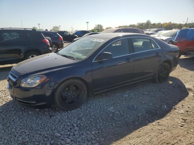 CHEVROLET MALIBU 1LT 2011 with VIN 1G1ZC5E1XBF283013 - Photo from auction