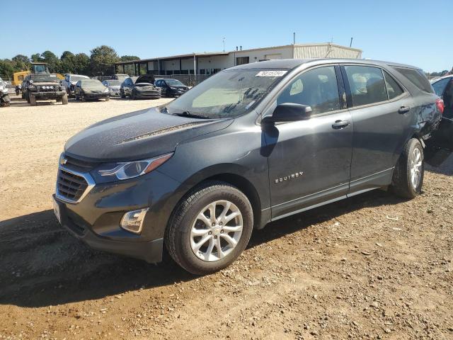 CHEVROLET EQUINOX LS 2019 with VIN 2GNAXHEV5K6143658 - Photo from auction