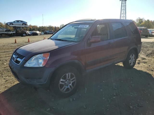 HONDA CR-V EX 2003 with VIN SHSRD78893U146006 - Photo from auction