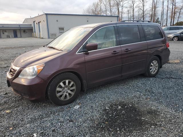 HONDA ODYSSEY EX 2009 with VIN 5FNRL38719B403517 - Photo from auction