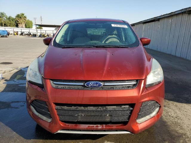 Photo 5 from auction – 2014 FORD ESCAPE SE with VIN 1FMCU0GX2EUE13991