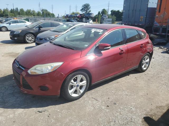 FORD FOCUS SE 2014 with VIN 1FADP3K21EL406703 - Photo from auction