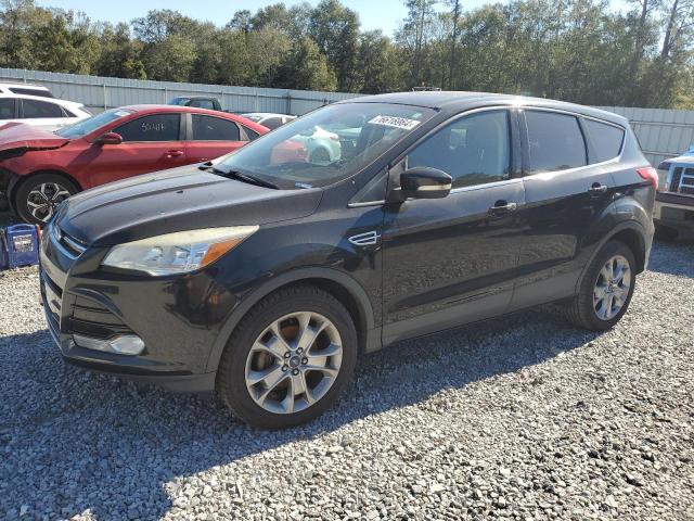 FORD ESCAPE SEL 2013 with VIN 1FMCU0HX2DUB03000 - Photo from auction