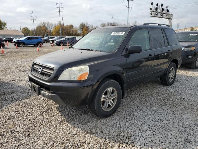 HONDA PILOT EXL 2005 with VIN 2HKYF18795H525884 - Photo from auction