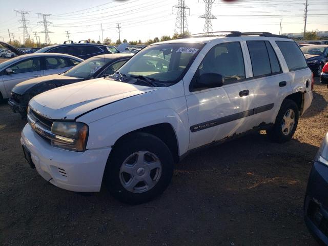 CHEVROLET TRAILBLAZE 2003 with VIN 1GNDT13S632306521 - Photo from auction