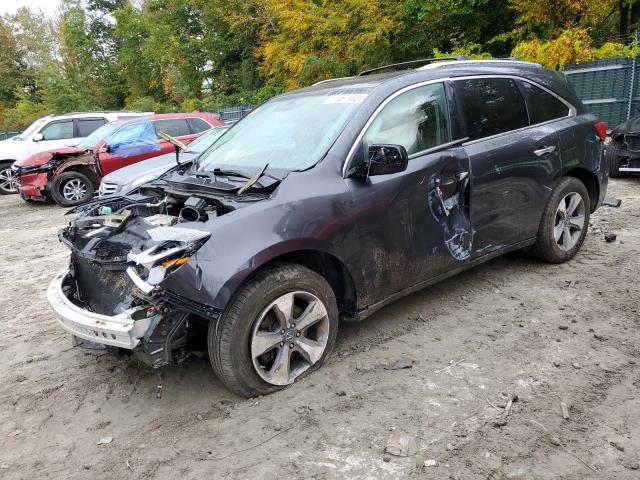 ACURA MDX 2014 with VIN 5FRYD3H20EB011859 - Photo from auction