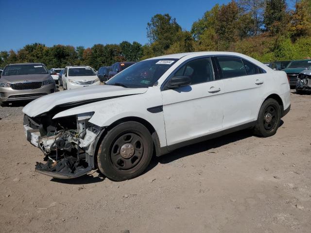 FORD TAURUS POL 2019 with VIN 1FAHP2MK8KG108808 - Photo from auction