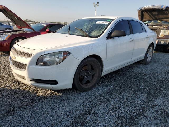 CHEVROLET MALIBU LS 2011 with VIN 1G1ZB5E13BF328442 - Photo from auction