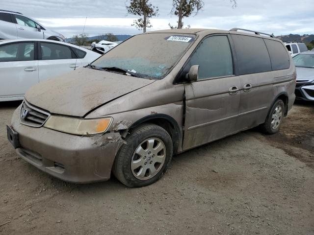 HONDA ODYSSEY EX 2004 with VIN 5FNRL18604B037411 - Photo from auction