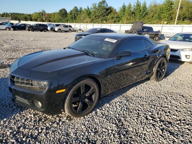 CHEVROLET CAMARO LT 2011 with VIN 2G1FC1EDXB9110977 - Photo from auction
