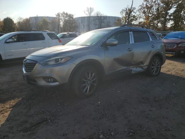 MAZDA CX-9 TOURI 2013 with VIN JM3TB3CV1D0402865 - Photo from auction