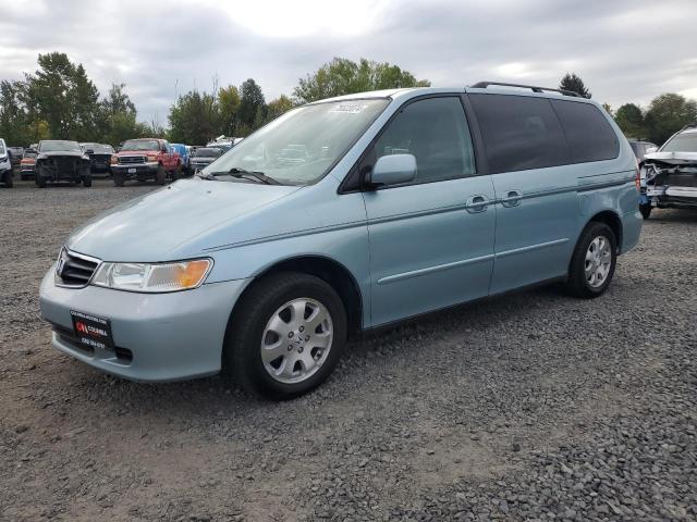HONDA ODYSSEY EX 2003 with VIN 5FNRL18013B141853 - Photo from auction