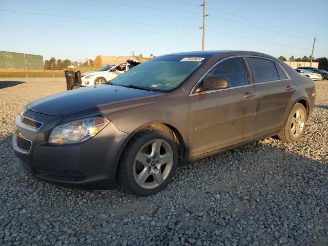 CHEVROLET MALIBU LS 2012 with VIN 1G1ZB5E09CF251469 - Photo from auction