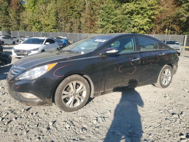 Photo 1 from auction – 2013 HYUNDAI SONATA SE with VIN 5NPEC4ACXDH590357