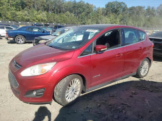 FORD C-MAX SEL 2013 with VIN 1FADP5BU2DL551406 - Photo from auction