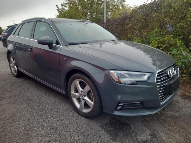 AUDI A3 E-TRON 2017 with VIN WAUSPBFF0HA042585 - Photo from auction