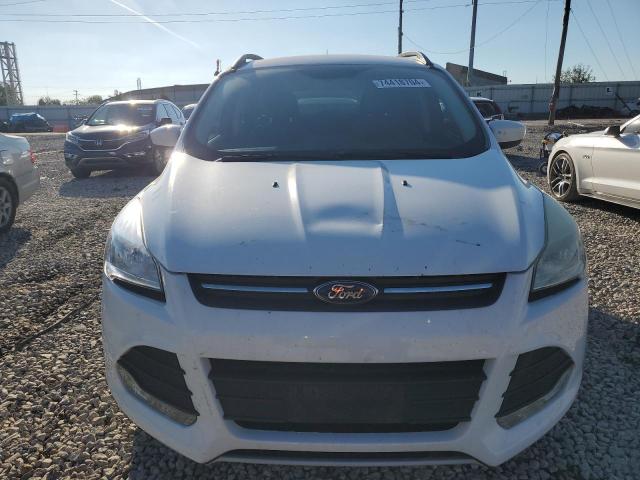 Photo 5 from auction – 2014 FORD ESCAPE SE with VIN 1FMCU0G98EUB78269