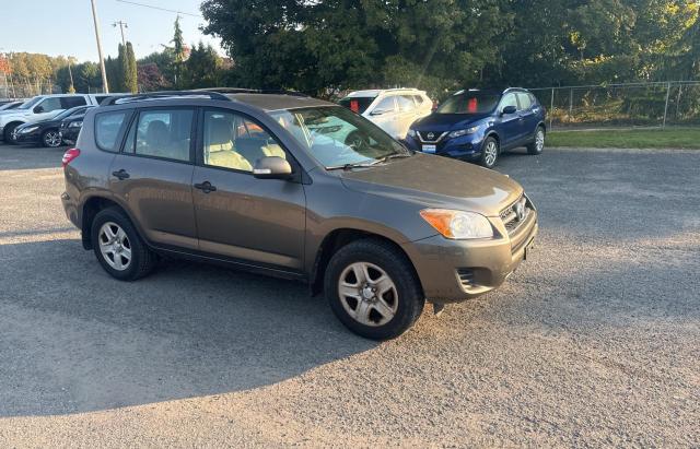 TOYOTA RAV4 2012 with VIN 2T3BF4DV8CW249005 - Photo from auction