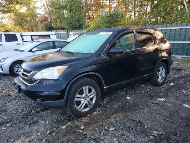 HONDA CR-V EX 2011 with VIN 5J6RE4H59BL057941 - Photo from auction