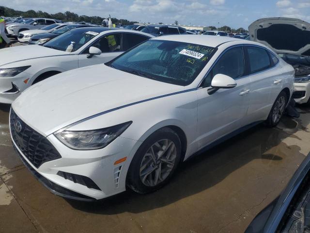 HYUNDAI SONATA SEL 2022 with VIN KMHL64JA2NA167659 - Photo from auction