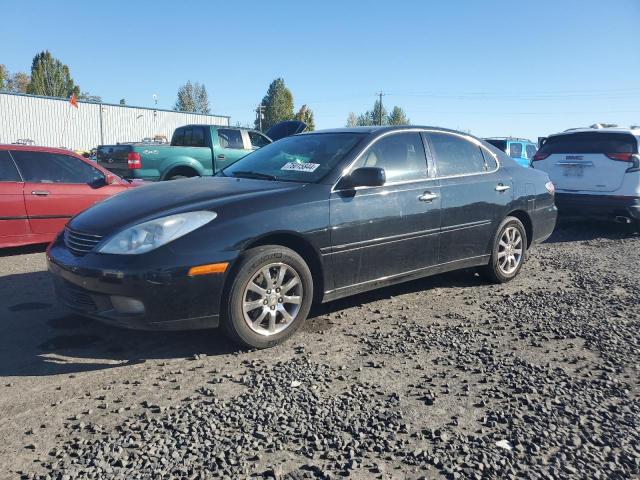LEXUS ES 300 2002 with VIN JTHBF30G320017723 - Photo from auction