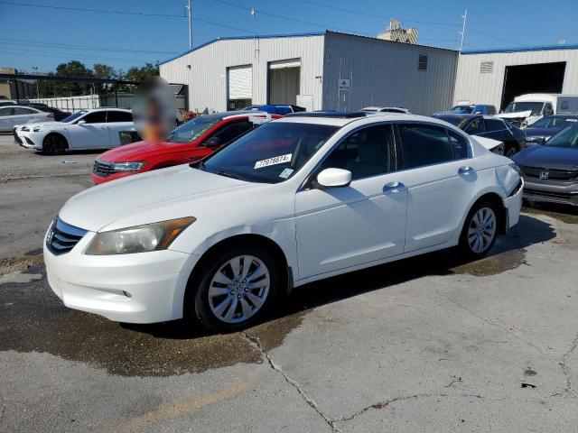 HONDA ACCORD EXL 2012 with VIN 1HGCP3F85CA031221 - Photo from auction
