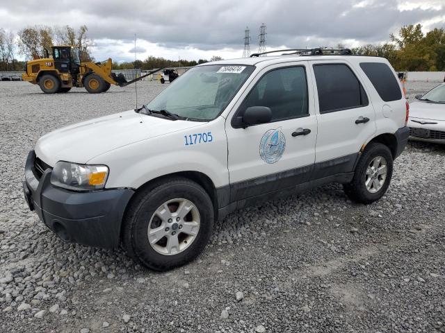 FORD ESCAPE XLT 2005 with VIN 1FMYU93175KE39901 - Photo from auction