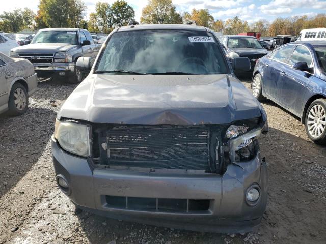 Photo 5 from auction – 2010 FORD ESCAPE XLT with VIN 1FMCU0D71AKB80809