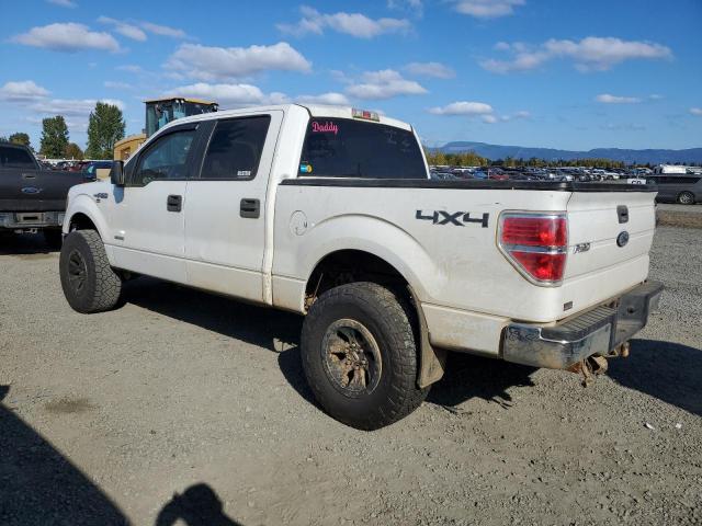 Photo 2 from auction – 2013 FORD F150 SUPER with VIN 1FTFW1ET3DFB92583