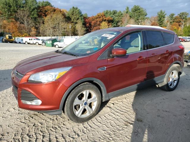 FORD ESCAPE SE 2014 with VIN 1FMCU0GX5EUB81287 - Photo from auction