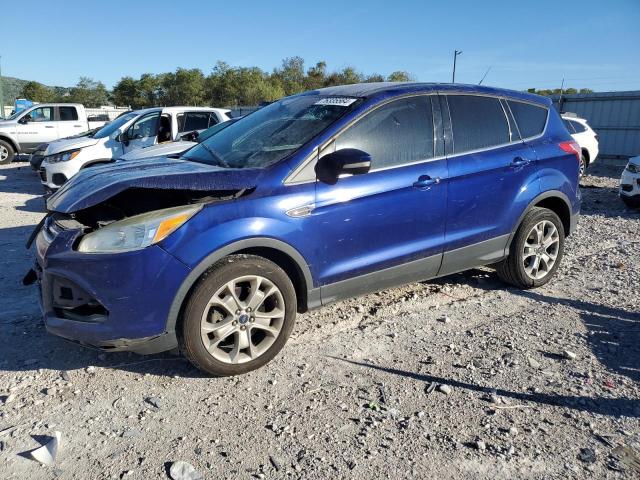 FORD ESCAPE SEL 2013 with VIN 1FMCU0H96DUD40560 - Photo from auction