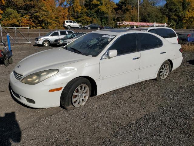 LEXUS ES 300 2003 with VIN JTHBF30G630149229 - Photo from auction