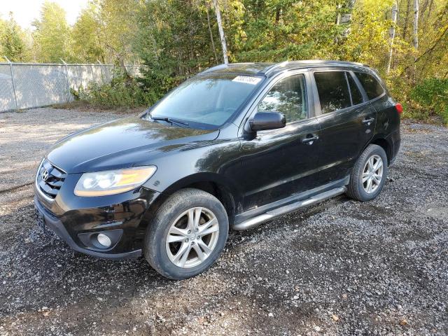 HYUNDAI SANTA FE G 2010 with VIN 5NMSGDAG1AH343893 - Photo from auction