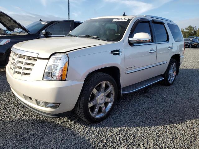 CADILLAC ESCALADE L 2012 with VIN 1GYS3BEF8CR206007 - Photo from auction
