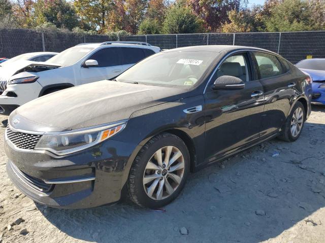 KIA OPTIMA EX 2016 with VIN 5XXGU4L36GG079151 - Photo from auction