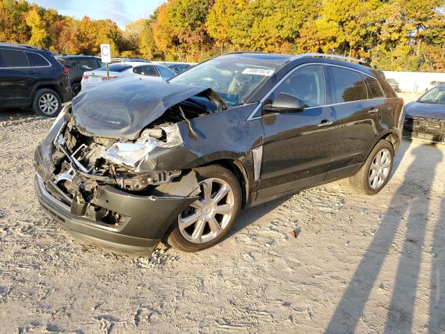 CADILLAC SRX PERFOR 2016 with VIN 3GYFNCE34GS523535 - Photo from auction
