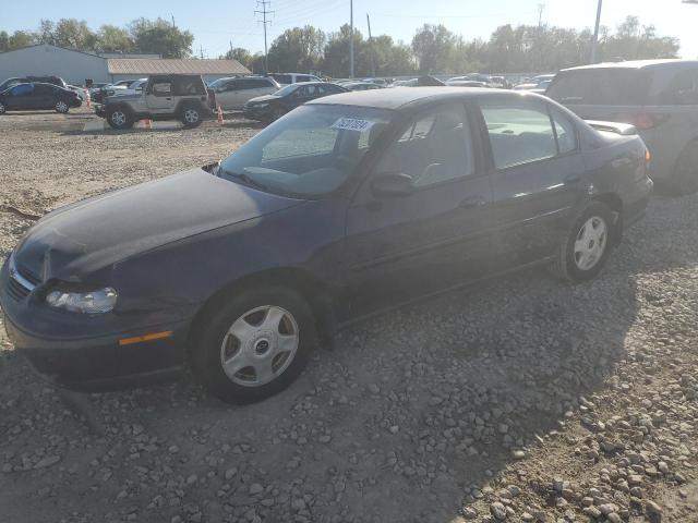 CHEVROLET MALIBU LS 2001 with VIN 1G1NE52J016182249 - Photo from auction
