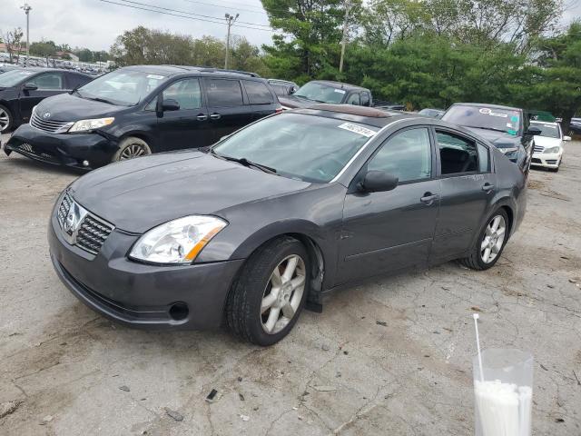 NISSAN MAXIMA SE 2005 with VIN 1N4BA41E15C878653 - Photo from auction