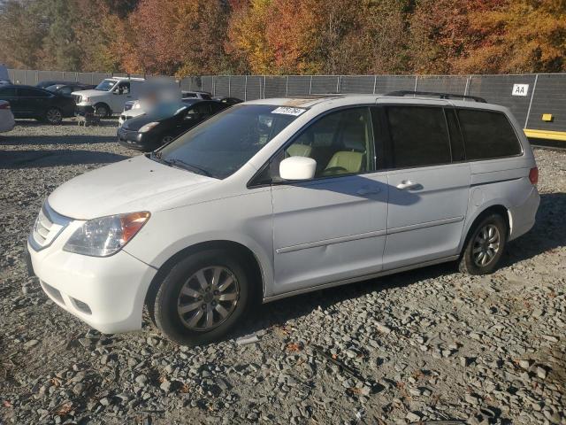 HONDA ODYSSEY EX 2009 with VIN 5FNRL387X9B019199 - Photo from auction