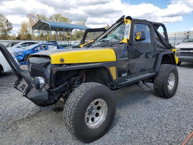 JEEP WRANGLER / 2002 with VIN 1J4FA39S62P767109 - Photo from auction