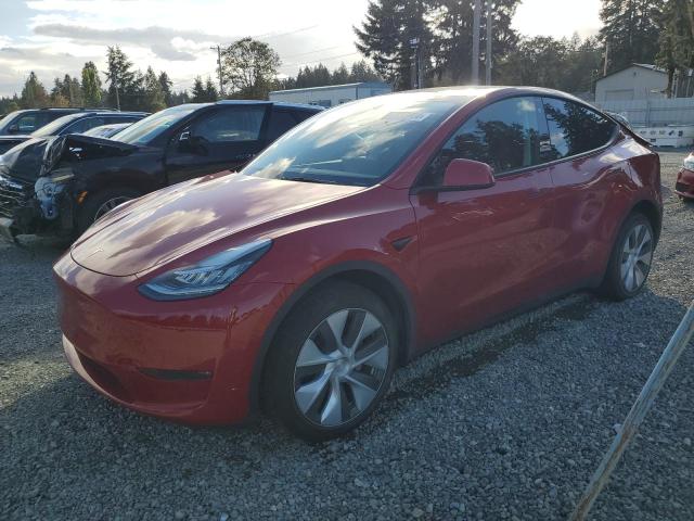 TESLA MODEL Y 2023 with VIN 7SAYGDEE2PA103037 - Photo from auction