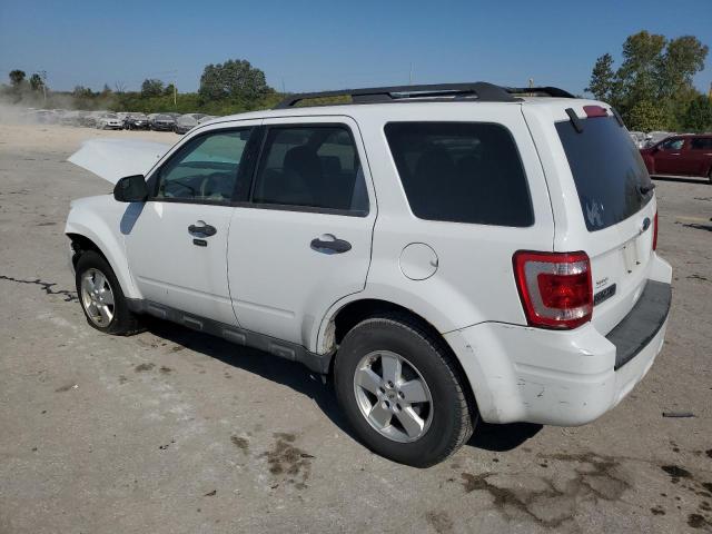Photo 2 from auction – 2010 FORD ESCAPE XLT with VIN 1FMCU0D71AKC51300